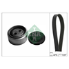 INA Drive Belt Kit 529008710 thumbnail