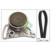 INA Drive Belt Kit 529009910 thumbnail