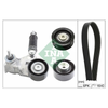 INA Drive Belt Kit 529010410 thumbnail