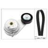 INA Drive Belt Kit 529014710 thumbnail