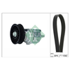 INA Drive Belt Kit 529016110 thumbnail