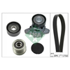 INA Drive Belt Kit 529016420 thumbnail