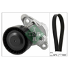 INA Drive Belt Kit 529020810 thumbnail