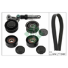 INA Drive Belt Kit 529020910 thumbnail