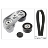 INA Drive Belt Kit 529021010 thumbnail