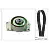 INA Drive Belt Kit 529021610 thumbnail