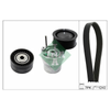 INA Drive Belt Kit 529028210 thumbnail