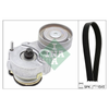 INA Drive Belt Kit 529032910 thumbnail