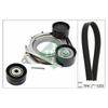 INA Drive Belt Kit 529036310 thumbnail