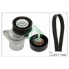 INA Drive Belt Kit 529039410 thumbnail