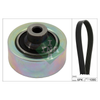 INA Drive Belt Kit 529040310 thumbnail