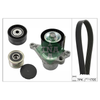 INA Drive Belt Kit 529042320 thumbnail