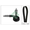 INA Drive Belt Kit 529042510 thumbnail