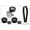 INA Drive Belt Kit 529044910 thumbnail