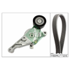 INA Drive Belt Kit 529046210 thumbnail