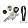 INA Drive Belt Kit 529046920 thumbnail