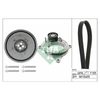 INA Drive Belt Kit 529048820 thumbnail