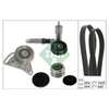 INA Drive Belt Kit 529052320 thumbnail