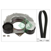INA Drive Belt Kit 529055910 thumbnail