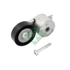 INA Drive Belt Tensioner Pulley 534041210 thumbnail