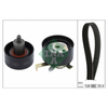 INA Timing Belt Kit 530006610 thumbnail