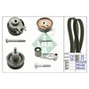 INA Timing Belt Kit 530008910 thumbnail