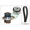 INA Timing Belt Kit & Water Pump 530046230 thumbnail