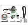 INA Timing Belt Kit & Water Pump 530065030 thumbnail