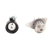 Dayco Timing Belt & Water Pump Kit KTBWP3361 thumbnail