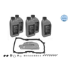 Meyle Automatic Transmission Oil Kit 1001350100 thumbnail