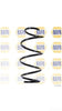 NAPA 2 x Coil Springs Front Axle NCS1341 thumbnail