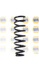 NAPA 2 x Coil Springs Rear Axle NCS1374 thumbnail