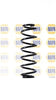 NAPA 2 x Coil Springs Rear Axle NCS1499 thumbnail
