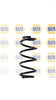 NAPA 2 x Coil Springs Rear Axle NCS1541 thumbnail