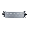 NRF Intercooler 309074 thumbnail