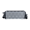 NRF Intercooler 309076 thumbnail