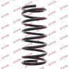 KYB K-Flex Rear Coil Spring RA5382 thumbnail