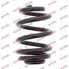 KYB K-Flex Rear Coil Spring RX6206 thumbnail