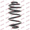KYB K-Flex Rear Coil Spring RX6765 thumbnail