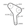 Gates Timing Belt PowerGrip 5564XS thumbnail