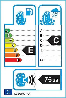 Rapid P609 305/45 R22 118W XL Tyre Summer EU Label E/C 75dB Set of 2 - image 3