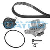 Dayco Timing Belt & Water Pump Kit KTBWP5670 thumbnail
