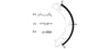 Mintex Parking Brake Shoes Set Of 4 Rear MFR473 thumbnail