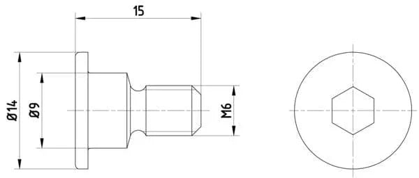 Textar Brake Disc Bolt Screw Front Or Rear M6 Self-Locking Set Of 2 TPM0001 Mintex - image 3