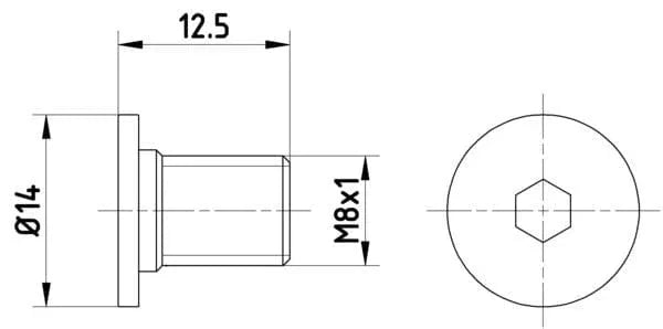 Textar Brake Disc Bolt Screw Front Or Rear M8 Set Of 2 TPM0002 Mintex - image 3