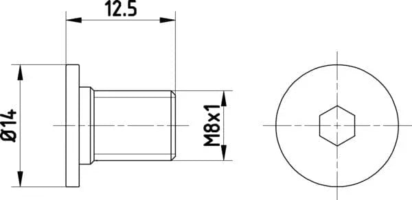 Textar Brake Disc Bolt Screw Front Or Rear M8 Set Of 2 TPM0002 Mintex - image 2